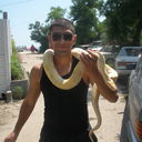  ,   ZORO, 46 ,   