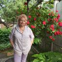  ,   , 51 ,   ,   