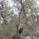  ,   , 51 ,     , 