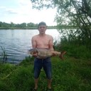 ���������� �����, ���� ������� ����, 44 ����, ������������ ��� ������, ����� � ���������, c�������� ���������