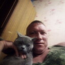  ,   , 40 ,     , c , 