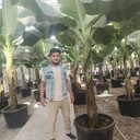 ���������� �����-���������, ���� ������� Jamshid, 27 ���, ������������ ��� ������, ����� � ���������