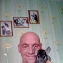  ,   , 51 ,     , c 
