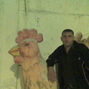 ���������� ������-���, ���� ������� ��������, 38 ���, ������������ ��� ������, ����� � ���������, c�������� ���������