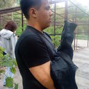  ,   , 40 ,   