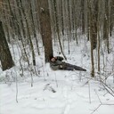 ���������� �����-���������, ���� ������� ����, 58 ���, ������������ ��� ������, ����� � ���������