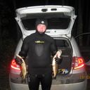 ���������� �������, ���� ������� �����, 38 ���, ������������ ��� ������, ����� � ���������, c�������� ���������