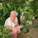 ���������� ���������, ���� ������� ��������, 70 ���, ������������ ��� c�������� ���������