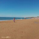  ,   Taylan, 39 ,   ,   , c , 