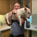 ���������� ������, ���� ������� ������, 33 ����, ������������ ��� ������, ����� � ���������