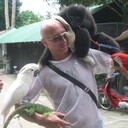 ���������� �����-���������, ���� ������� ������, 53 ����, ������������ ��� ������, ����� � ���������