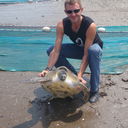 ���������� ������, ���� ������� ��� ����� 2, 50 ���, ������������ ��� ������, ����� � ���������, c�������� ���������