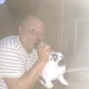  ,   , 52 ,   