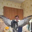  ,   Vladimir, 56 ,   ,   