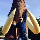 ���������� �����-���������, ���� ������� �����, 41 ���, ������������ ��� ������, ����� � ���������, c�������� ���������