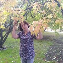  ,   , 62 ,   