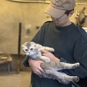 ���������� �������, ���� ������� ������, 27 ���, ������������ ��� ������, ����� � ���������