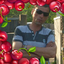  ,   , 38 ,   c 