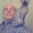  ,   , 51 ,     , c 