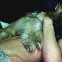 ���������� ������, ���� ������� ����, 34 ����, ������������ ��� ������, ���������