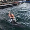 ���������� ��������, ���� ������� ������, 45 ���, ������������ ��� ������, ����� � ���������, c�������� ���������