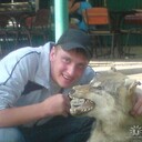 ���������� �������, ���� ������� �������, 39 ���, ������������ ��� ����� � ���������, c�������� ���������