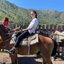 ���������� �����������, ���� ������� �����, 26 ���, ������������ ��� ������, ����� � ���������, c�������� ���������, ���������