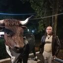 ���������� ����, ���� ������� �������, 46 ���, ������������ ��� c�������� ���������