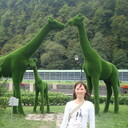 ���������� ����������, ���� ������� ���������, 33 ����, ������������ ��� ������, ����� � ���������