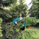 ���������� �������, ���� ������� �������, 56 ���, ������������ ��� ������, ����� � ���������