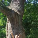 ���������� �������, ���� ������� ������, 46 ���, ������������ ��� ������, ����� � ���������, c�������� ���������