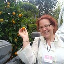  ,   , 58 ,   ,   , c 