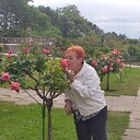  ,   , 52 ,     , c , 