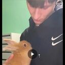 ���������� �������, ���� ����� �����, 22 ����, ������������ ��� ������, ����� � ���������, c�������� ���������