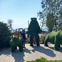 ���������� ���������, ���� ������� ������, 31 ���, ������������ ��� ������, ����� � ���������