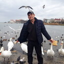  ,   , 44 ,   ,   , c , 