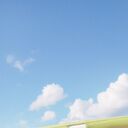 ���������� ��������, ���� ������� ���������, 35 ���, ������������ ��� ���������