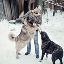 ���������� ������, ���� ������� Hrach, 43 ����, ������������ ��� ������, ����� � ���������, c�������� ���������, ���������