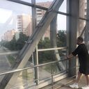 ���������� �������, ���� ������� ��������, 36 ���, ������������ ��� ������, ����� � ���������