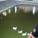  ,   Polat, 41 ,   ,   