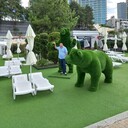 ���������� ���������, ���� ������� �������, 43 ����, ������������ ��� ������, ����� � ���������, c�������� ���������