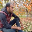 ���������� ����, ���� ������� ������, 37 ���, ������������ ��� ������, ����� � ���������, c�������� ���������, ���������