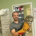 ���������� �����-���������, ���� ������� �����, 33 ����, ������������ ��� ������, ����� � ���������, c�������� ���������