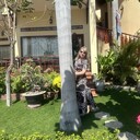 ���������� ������, ���� ������� �����, 45 ���, ������������ ��� ������, ����� � ���������