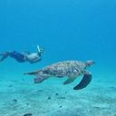  ,   Falcon 27, 40 ,   ,   , c , 