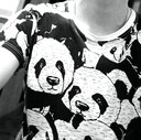  ,   Svet, 27 ,   ,   