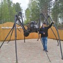  ,   Vladimir, 42 ,     , c 
