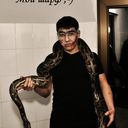  ,   Legeon, 37 ,   