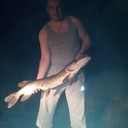 ���������� ��������, ���� ������� �������, 44 ����, ������������ ��� ������