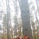  ,   , 43 ,   ,   , c 